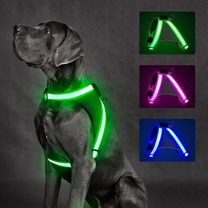 ChalkLit Light Up Dog Harness, No Pull Led Dog Harness Glow-in-The-Dark for Night Walking, USB Rechargeable Lighted Safety Vest for Medium Large Dogs, Adjustable Soft Mesh Fully Illuminated(Green, L)
