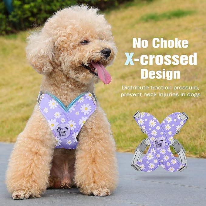 Pawaboo Small Dog Harness and Leash Set, Puppy Harness X-Frame No Pull No Choke, Dog Vest Harness Adjustable for Small Medium Sized Dogs,Soft Breathable Pet Harness for Walking Outing, S, Purple Daisy