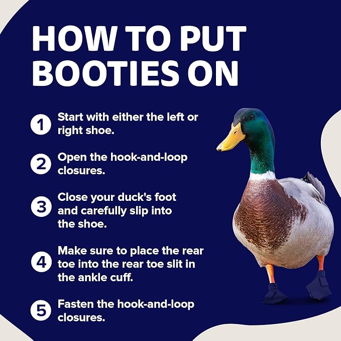 Duck Shoes for Injured Feet – Protective Neoprene Footwear for Ducks, Protective Shoes for Birds with Injured feet, Bumblefoot Relief - Small, 2.5’’ Max. Inside Width - Navy