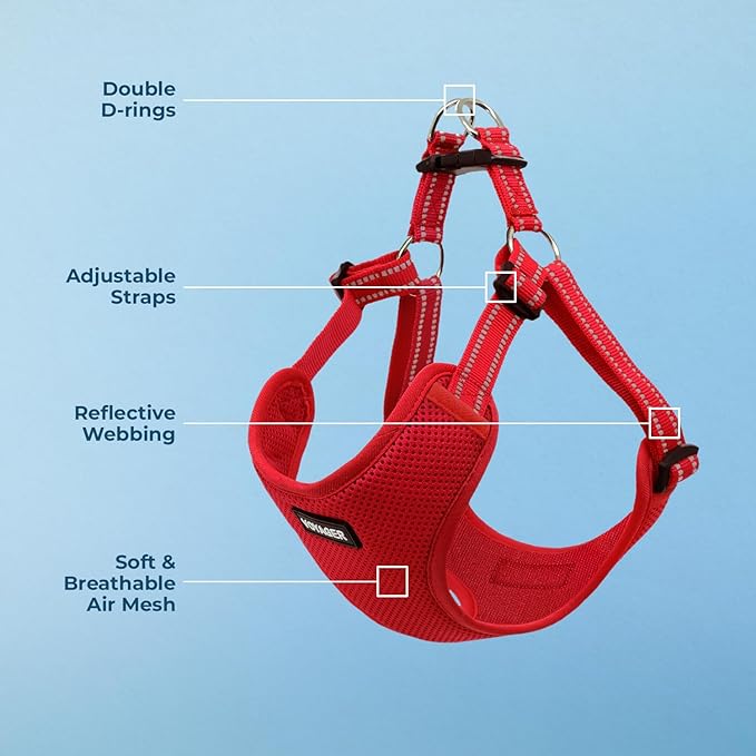 Best Pet Supplies Voyager Adjustable Step-in Flex Breathable Mesh Dog Harness for Small Medium Large Dogs (Red), M