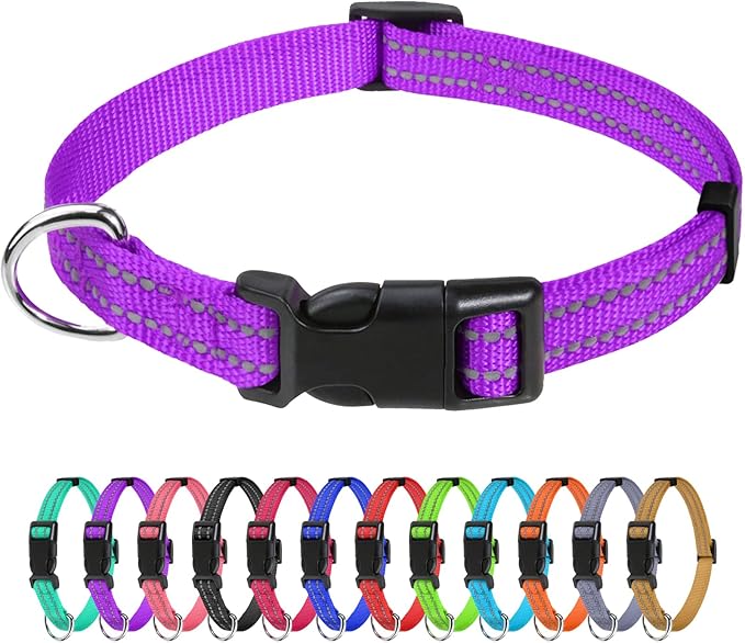 TagME Reflective Nylon Dog Collars, Adjustable Classic Pet Collar with Quick Release Buckle for Puppy, Purple, 3/8" Width