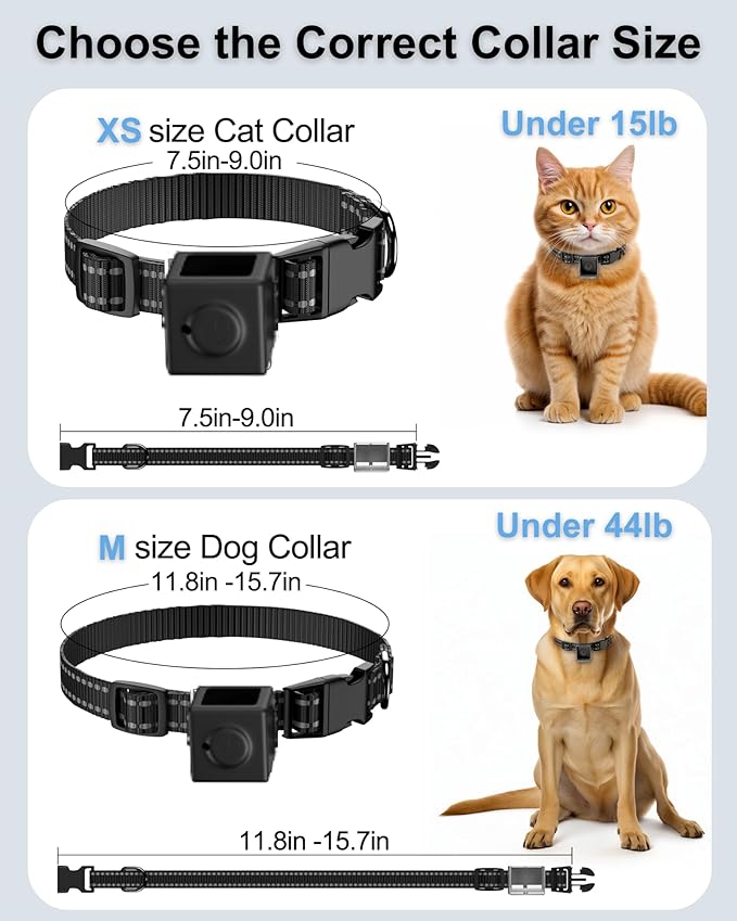 Dog Camera Collar 1080P HD Video Recording Pet POV Cam, NO WiFi NO APP, Body Camera for Dogs(No Micro-SD Card Included)