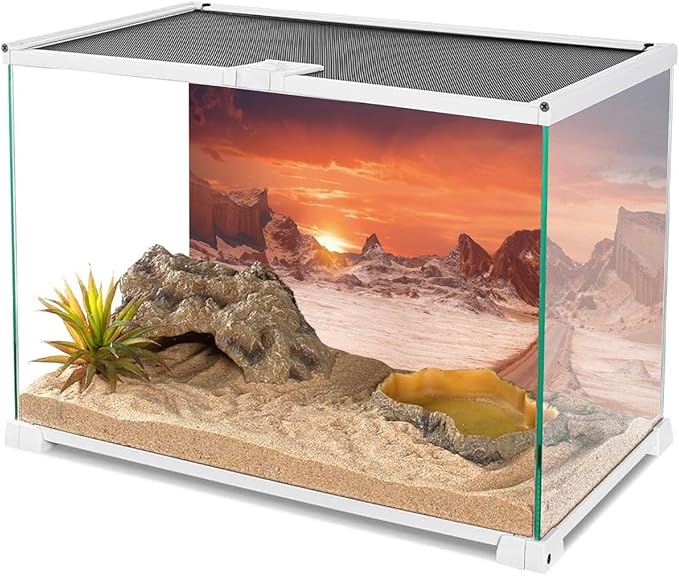 AWERT 72x18 inches Sun and Desert Terrarium Background Orange Reptile Habitat Background Durable Polyester Background