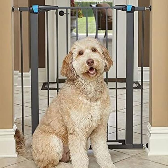MidWest Homes for Pets 39 Inches Tall Walk-Though Steel Pet Gate, Pressure Mounted Dog Gatewith Glow Strip Measures 29-38 Inches Wide & Includes Two 3-Inch-Wide Extensions, Graphite
