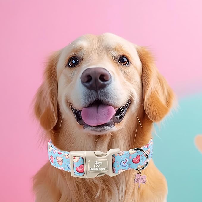 Valentines Dog Collar for Small Dogs - Valentine Candy Hearts Dog Collars, Love Boy Girl Dogs Collars, Lightweight Adjustable Cute Blue Puppy Collar with Quick-Release Buckle S