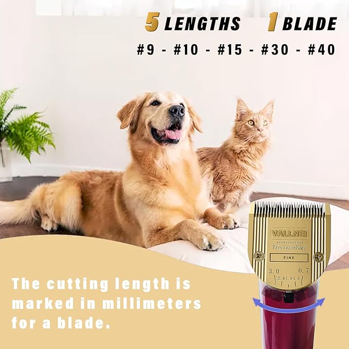 5-in-1 Replacement Clipper Blade, Detachable & Adjustable Dog Grooming Blade Compatible with Wahl Arco, Bravura, Chromado, Creativa, Figura, Motion & SuperGroom (Gold 2 Pack)