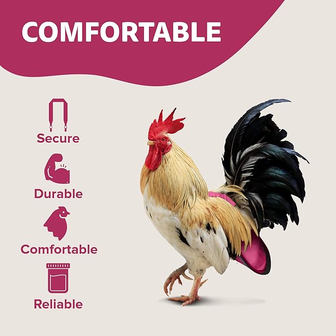 Hen Holster Bird Diaper, Wrap Around - for Hens, Roosters, Ducks, Geese, Leak-Proof Design, Comfortable Fleece Strap Bird Harness with Sewn-in Liner, Secure Hook and Loop Closure - S/M, Pink