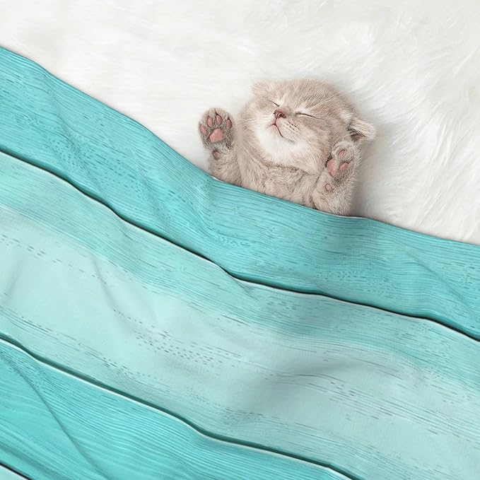 Waterproof Dog Blanket Soft Pet Blanket for Puppy Cat, Fleece Cat Throw Blankets for Furniture Bed Couch Sofa Reversible - Teal Turquoise(1)