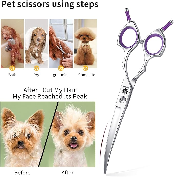 Dream Reach Dog Grooming Scissors - 6.5" Professional Sharp Downword Curved Shears with Ergonomic Handle for Cats Dogs