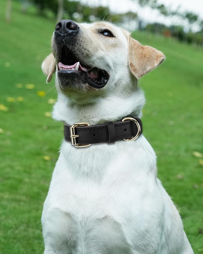 Joytale Genuine Leather Dog Collar for Large Dogs, Heavy Duty Thick Solid Leather for Power Breeds, Sturdy Adjustable Pet Collar with Metal Pin Buckle, Durable for Daily Walking, Black, L