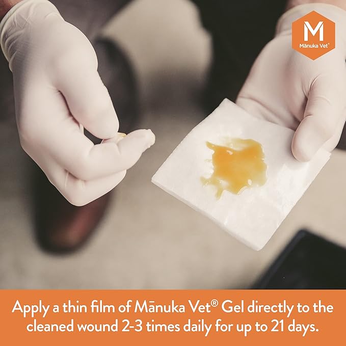 Manuka Vet Skin & Wound Gel, 500+ MGO Medical Grade Manuka Honey, Rapid Healing & Skin Repair Treatment for Dogs, Horses and Cats, 0.71oz (20g) Tube
