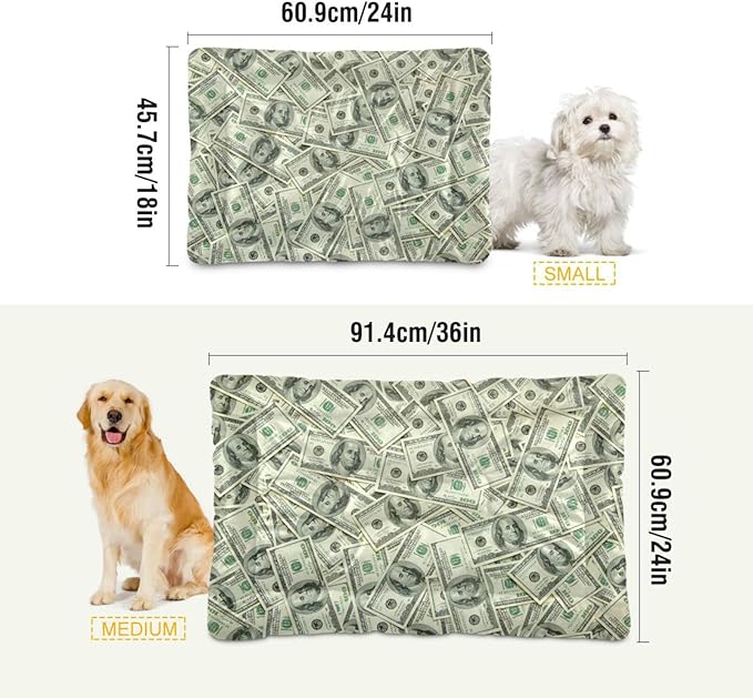 Money Print Pet Bed Cute Dog Bed Mat Absorbing Non Slip Pad Pet Sleeping Mat for Small, Medium, and Large Dogs Puppy Cat 24 in x 18 in