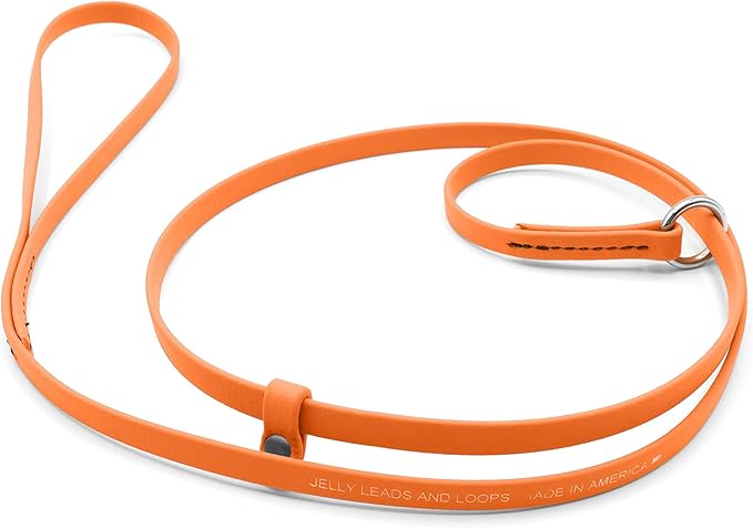 Jelly Pet Grooming Lead for Dogs | Great for Kennels, Veterinarians and Dog Grooming Salons | Biothane Leash - Easy to Clean, Waterproof & Durable Noose Loop | Made in USA | 3/8'' x 4' Hunter Orange