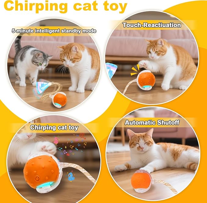Interactive Cat Toys Ball for Indoor Cats,Automatic Cat Toy with Elastic Mesh Tail,Rechargeable Rolling Kitten Toy,Cat Enrichment Toys for Indoor Cats (Blue1, Cat Toy Ball)