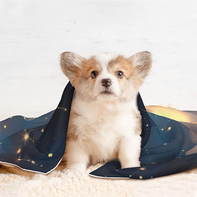Waterproof Dog Blanket Soft Pet Blanket for Puppy, Fleece Cat Throw Blankets for Furniture Bed Couch Sofa Reversible - Starry Sky Constellation Cat