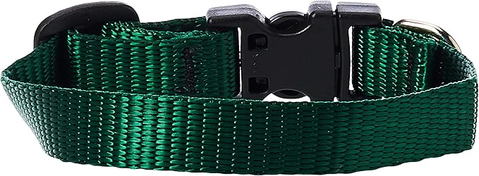 LupinePet Basics 1/2" Green 6-9" Adjustable Collar for Extra Small Dogs