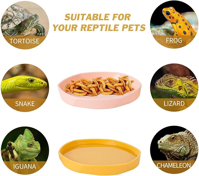 COMSUN 4 Pack Small Reptile Food Dish Bowl, Plastic Worm Water Dish Plate for Lizard Gecko Bearded Dragon Chameleon 4" W x 4" D x 0.5" H, Blue and Yellow