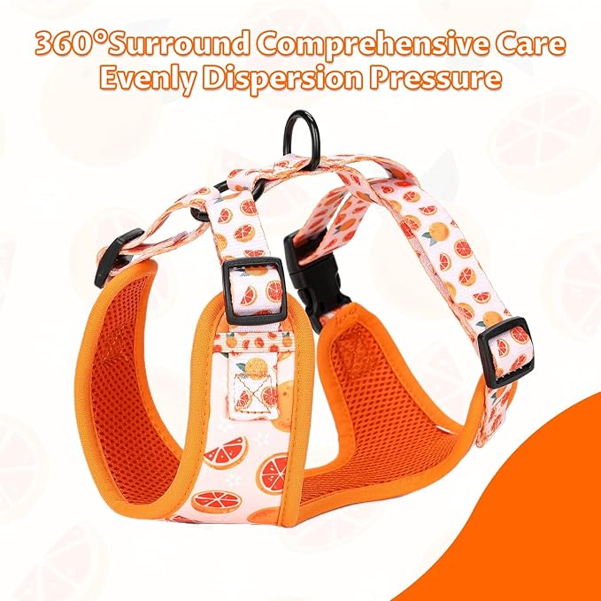 Dog Cat Harness and Leash Set, Puppia Soft Mesh Padded and Adjustable Puppy Vest Cute Dog Clothes Escape Proof Easy Walk Pet Accessories (Grapefruit, S (Neck 10.6"-13"; Chest 14"-19.6"))