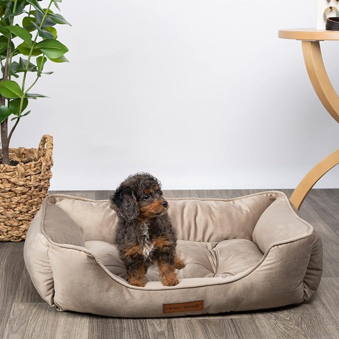 Modern Threads Luxury Dog Bed - Comfortable Tufted Velvet Cushion for Small to Medium Dogs - Machine Washable - Durable & Cute Sleep Space for Pets - Pamper Your Pet with Cozy Beds - Beige