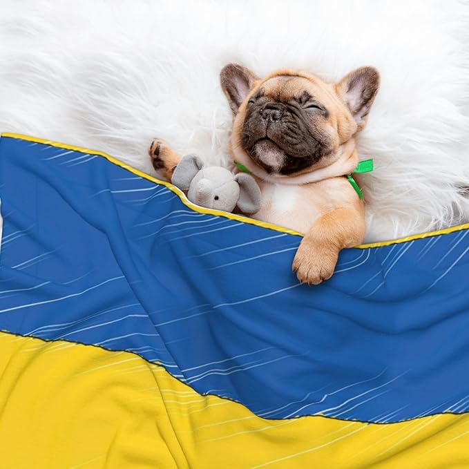 Pet Blanket for Car Rides Vet Visits, Abstract Ukraine Flag, Two Sided Reversible Plush Design with Bumpy Dot Side Offers Comfort Home Piece On Go Travel