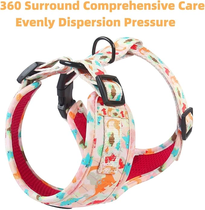 Adjustable Dog Harness and Leash Set for Girl Air Mesh Dog Vest Harness 5Ft Pet Training Leash with Soft Handle Pet Escape Proof for Small Medium Large Dogs (Dinosaur, S)