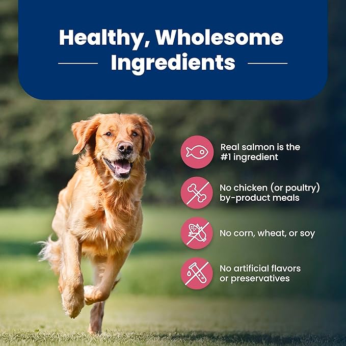 Blue Buffalo Life Protection Formula Adult Dry Dog Food, Helps Build and Maintain Strong Muscles, Made with Natural Ingredients, Salmon & Brown Rice Recipe, 40-lb. Bag