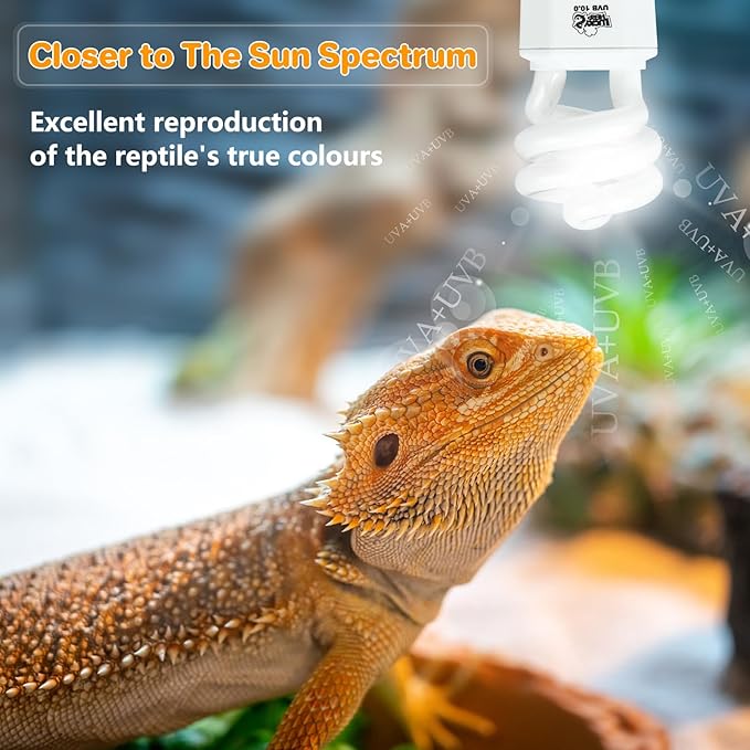 LUCKY HERP UVA UVB Reptile Light 10.0, Desert UVB 150 Compact Fluorescent Lamp, UVB Light for Reptiles 15W, UVA UVB Reptile Light Bulb, UVB Bulb for Reptiles Bearded Dragons Lizards Tortoises Snakes