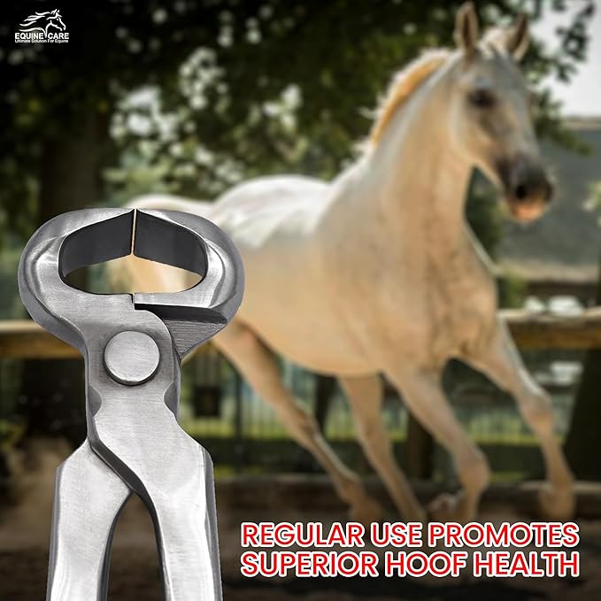 Equine Care Hoof Nippers – Professional Farrier Tools | Chrome Vanadium Steel Hoof Trimmers, Hoof Cutters & Hoof Clippers 10" to 15" for Horses, Ponies, Foals, Donkeys & Livestock (12″ Hoof Nipper)
