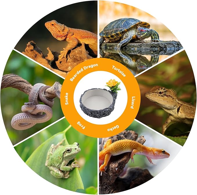 Reptile Food Bowl with Artificial Plant,Rock Reptile Water Dish Bearded Dragon Feed Terrariums Dish for Snake Tortoise Chameleon Hermit Crabs Turtle Leopard Gecko Frog