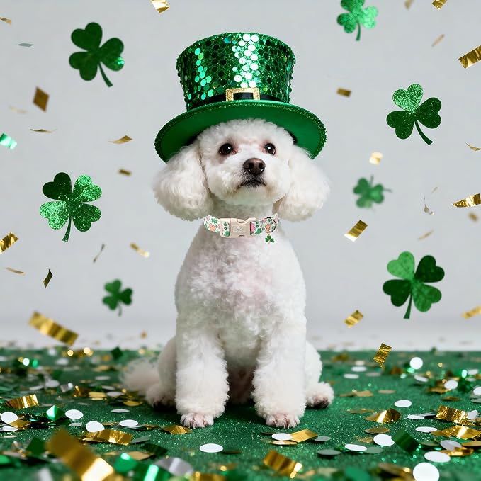 St Patricks Day Dog Collar for Large Dogs - Cute Pastel Lucky Clover Dog Collars, Lightweight Adjustable Irish Green Festival Dogs Collars with Quick Release Buckle L