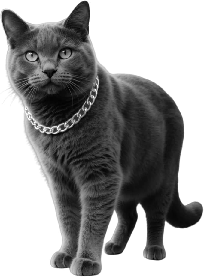 Silver Cat Chain Collar,Adjustable Cuban Link Necklace for Cats, Lightweight & Durable Metal Pet Jewelry, Stylish Decorative Accessory (Silver,S)