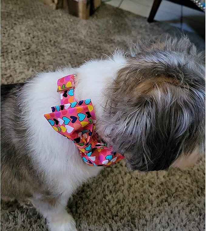 Lionheart glory Valentine's Dog Collar, Dog Collars with Bow, Pet Collar Adjustable Dogs Bowtie Pet Collars for Medium Dogs
