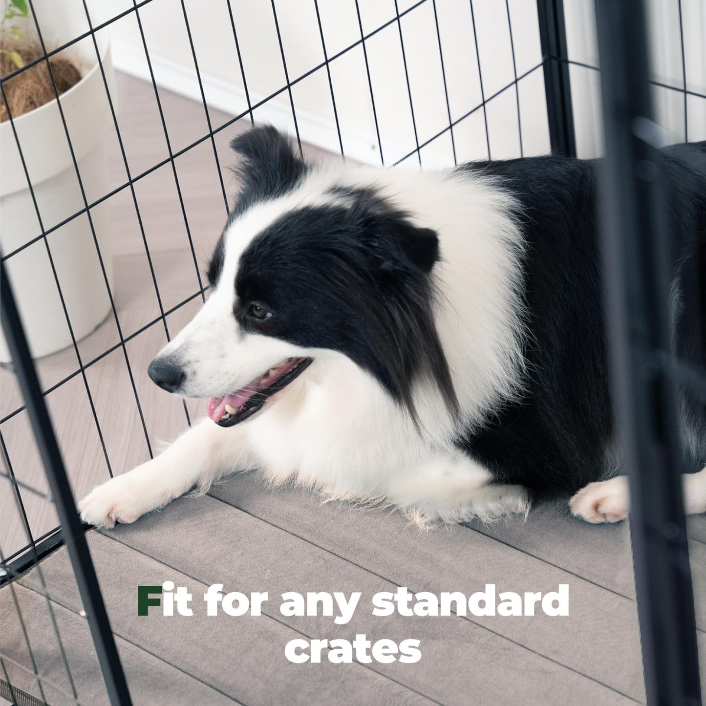 BALANCE Dog Crate Pad, Dog Foam Crate Mat Kennel Pad, Washable Water-Resistant Pet Bed Flat Dogs Cage Mat for Medium Dogs