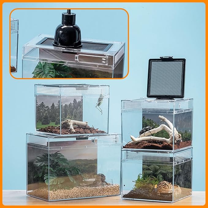 Reptile Terrarium, Jumping Spider Enclosure Starter Kit, Leopard Gecko Habitat Container, 8"x8"x6"Reptile Tank for Tarantula, Hermit Crab, Insect, Fish, Frog, Small Bearded Dragon, Lizard