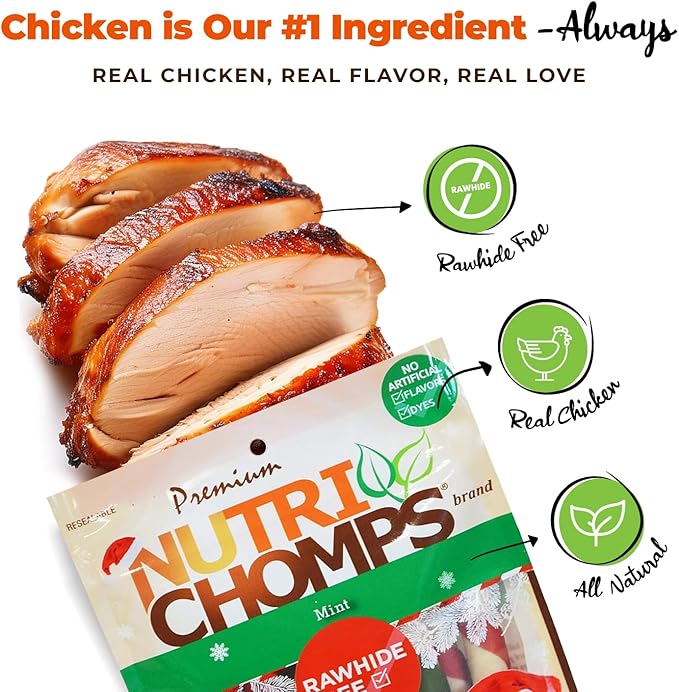 NutriChomps Dog Chews, 5 inch Twists, Mint Flavor, 10 Count, Easy to Digest, Rawhide Free, Holiday Stocking Stuffer Treats, Christmas Gift for Dogs