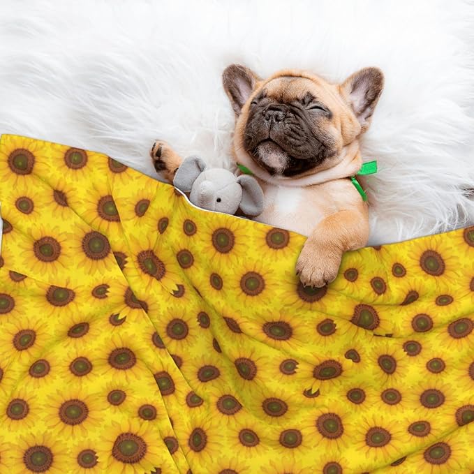 Dog and Cat Blanket in One, Beautiful Sunrise Sunflower Art, Double Sided Plush Throw with Raised Dot Pattern on One Side and Flat Velvet on Other for Variety