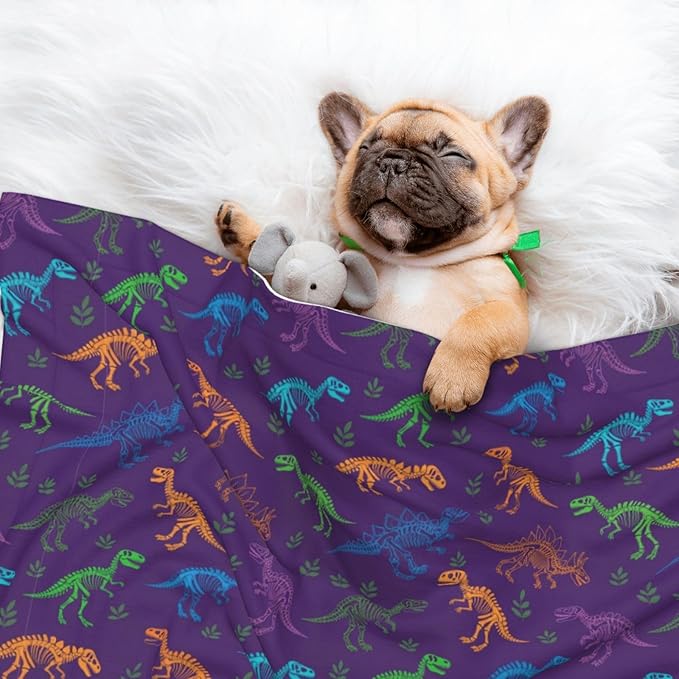 Pet Blanket for Couches and Beds, Cool Dinosaur Purple, Reversible Double Sided Plush Design with Soft Bumpy Texture and Smooth Surface, Furniture Protector