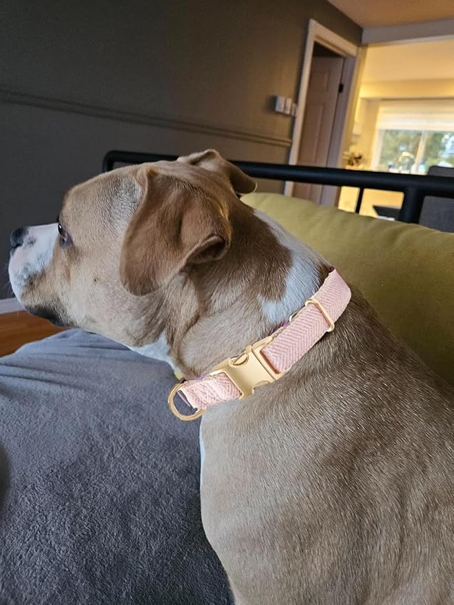 Soft Cotton Hemp Dog Collar with Metal Buckle Adjustable Tweed Dog Collars for Female Small Medium Large Dogs(Pink,Small)
