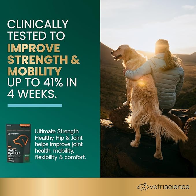 VetriScience Ultimate Strength Hip & Joint Supplement for Dogs, GlycoFlex Plus – MSM, Chondroitin & Green-Lipped Mussel Chews for Mobility, Flexibility, Comfort & Support, Bacon Flavor, 60 Cnt