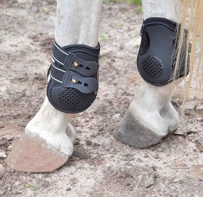 Jeffers Equine English Ankle Boots Medium – Premium Horse Leg Protection, Ventilated Neoprene, Adjustable & Comfortable Support, Lightweight & Durable for Training, Jumping & Riding – Black (Pair)