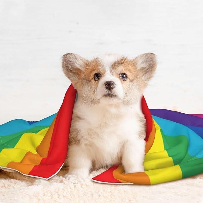 Double Sided Pet Bed Blanket for Added Cushion Warmth, LGBT Pride Rainbow Flag, Reversible Cover with Textured Dot Surface for Existing Beds Standalone Mat