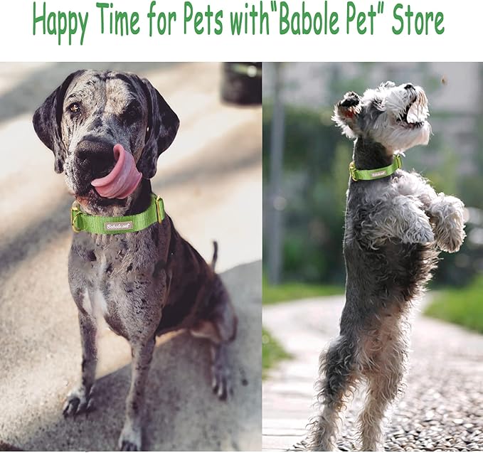 Nylon Dog Collar - Adjustable Green Soft Webbing Dog Collars for Small Medium Large Dogs Boy Girl Puppy Collar with Safety Metal Buckle M