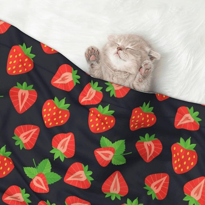 Pet Blanket for Travel and Home, Cute Red Strawberry Pattern Black, Reversible Plush Dot Design with Soft Grip Texture on One Side Perfect for Car Seats Moving Vehicles