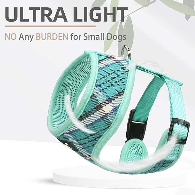 PUPTECK Soft Mesh Dog Harness and Leash Set Pet Puppy Cat Comfort Padded Vest No Pull Harnesses, Green, XS