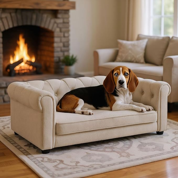 Elevated Dog Sofa with Backrest and Armrests, Button Tufted Dog Couch Bed with Soft Cushion for Medium Dogs, Stylish Lounging Bed Pet Couch Chair, 60Lbs Weight Capacity, Beige