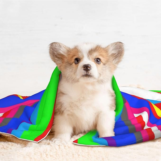 Two Sided Pet Cuddler Blanket for Anxiety Calming, Novel Colorful Mexican Blanket Stripes, Reversible Plush Design with Bubble Dot Pattern Provides Familiar Surface Anywhere