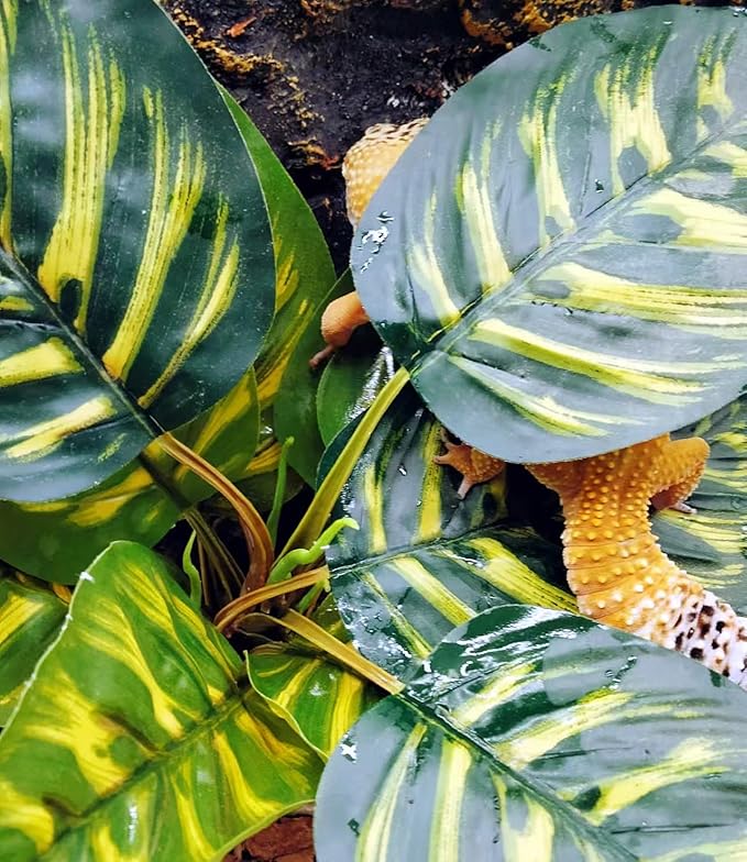 Reptile Terrarium Decor Plants,Amphibian Habitat Decor,Fake Plants for Bearded DragonTank Accessories fit Leopard Gecko Lizard Chameleon Snake Tortoise (Calathea makoyana -C)