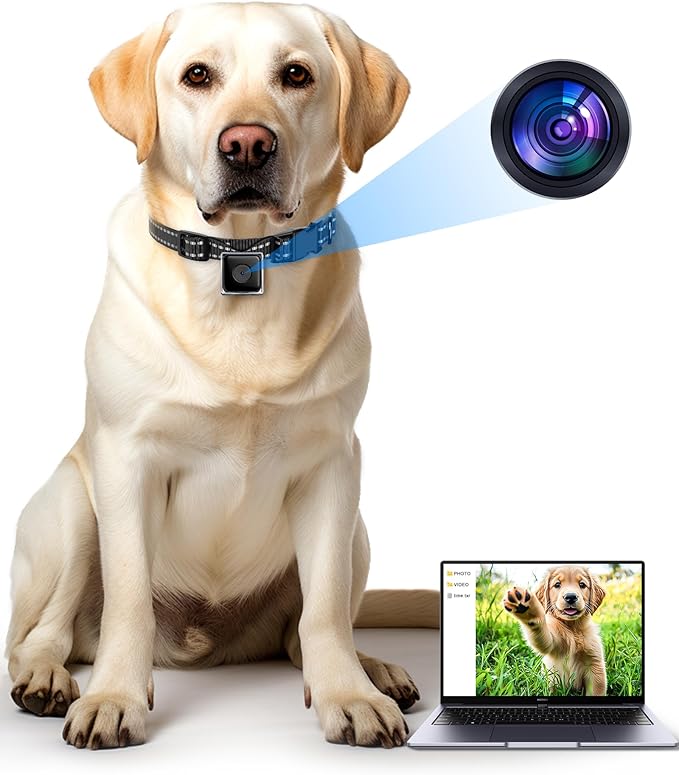 Dog Camera Collar,1080P HD Video Recording Pet POV Cam M-Size, NO WiFi NO APP, Body Action Camera for Dogs(No Micro-SD Card Included)