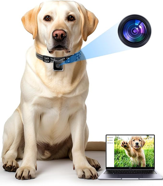 Dog Camera Collar,1080P HD Video Recording Pet POV Cam M-Size, NO WiFi NO APP, Body Action Camera for Dogs(No Micro-SD Card Included)