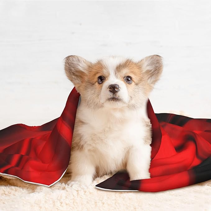 Waterproof Dog Blanket Soft Pet Blanket for Puppy Cat, Fleece Cat Throw Blankets for Furniture Bed Couch Sofa Reversible - The Red Head Skull